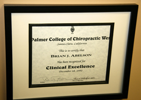 Chiropractic Excellence